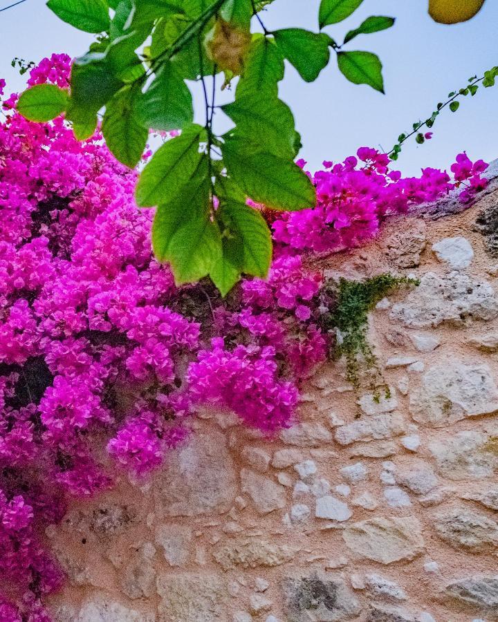 The Venetian Walls 'Central House With Private Courtyard - Charmy & Cheap' Ираклион Экстерьер фото